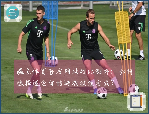 赢点体育官方网站对比测评：如何选择适合你的游戏投注方式？